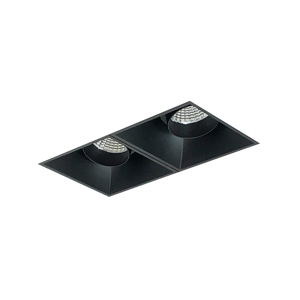 Iolite MLS 2-Head Trimless Reflector Kit, 3500K, 1000lm, Black Adj. Snoot Trims