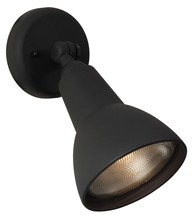 Outdoor Directional Lights