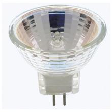 Flood Bulbs