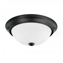 Capital 214722MB - 2 Light Flush Mount