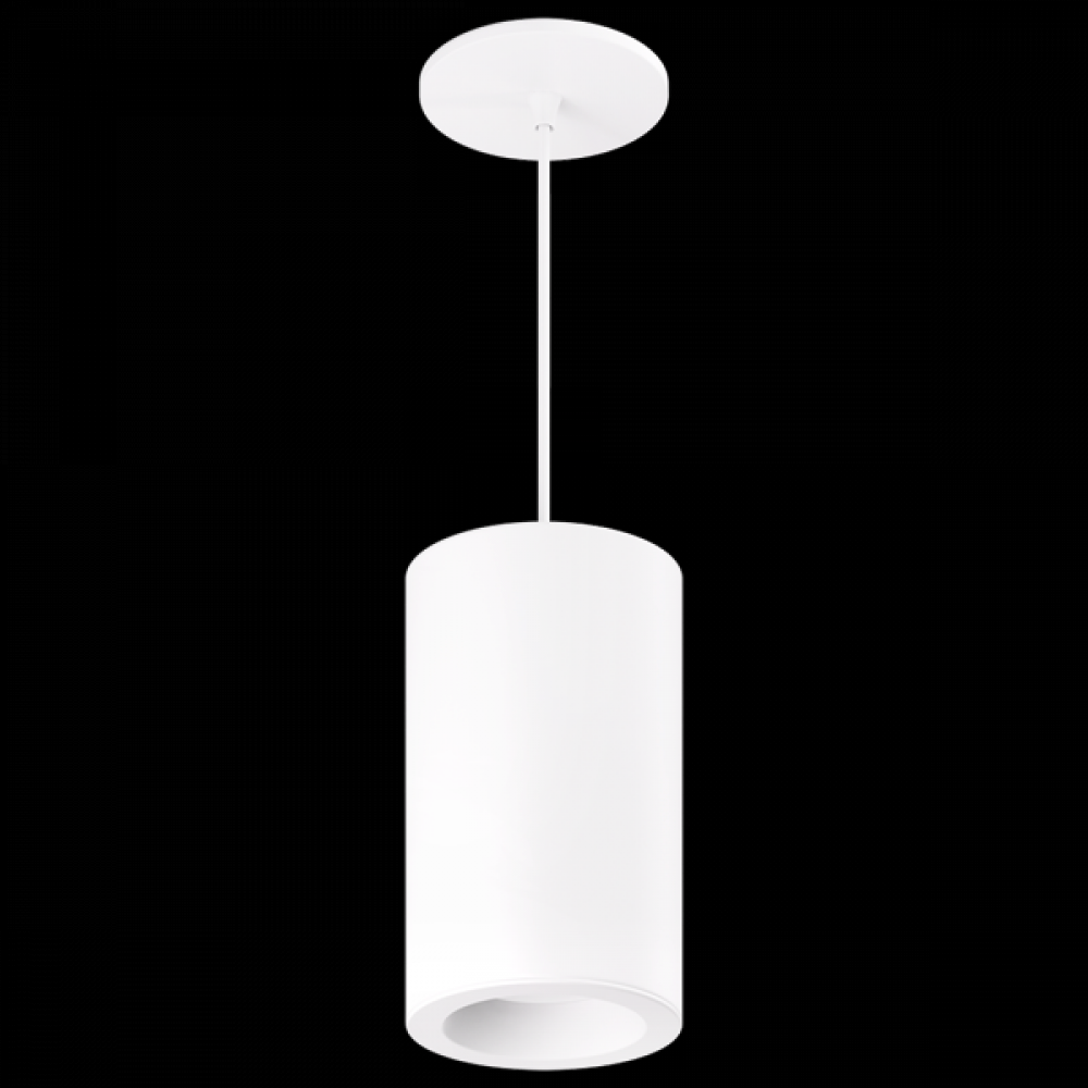 4? Ply Sylo Pendant