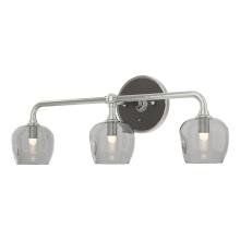 Hubbardton Forge 201342-SKT-85-14-YL0709 - Ume 3-Light Curved Arm Bath Sconce