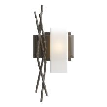 Hubbardton Forge 207670-SKT-RGT-07-GG0351 - Brindille Sconce