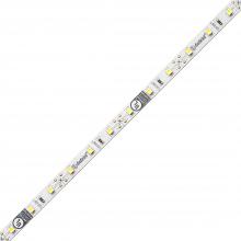 Diode Led DI-12V-FV20-8016 - FLUID VIEW LED Tape Light - 12V, 2000K, 80 CRI, 16.4 ft.