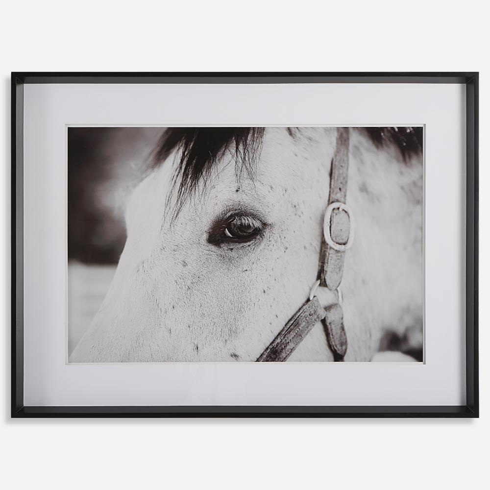 Eye Of The Beholder Framed Print