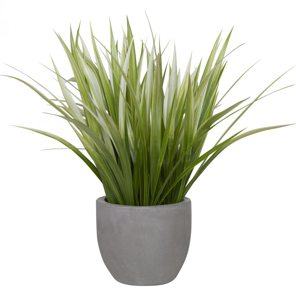 Uttermost Dracaena Grass In Gray Planter